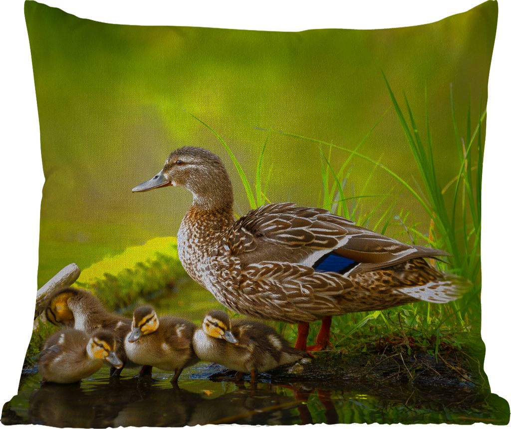 MuchoWow Outdoor Kissen - Ente - Vögel - Wasser - Zweig - Moos - 50x50 cm - Wetterfest - Lounge Kissen - Komfortabel - Kissen mit Bild