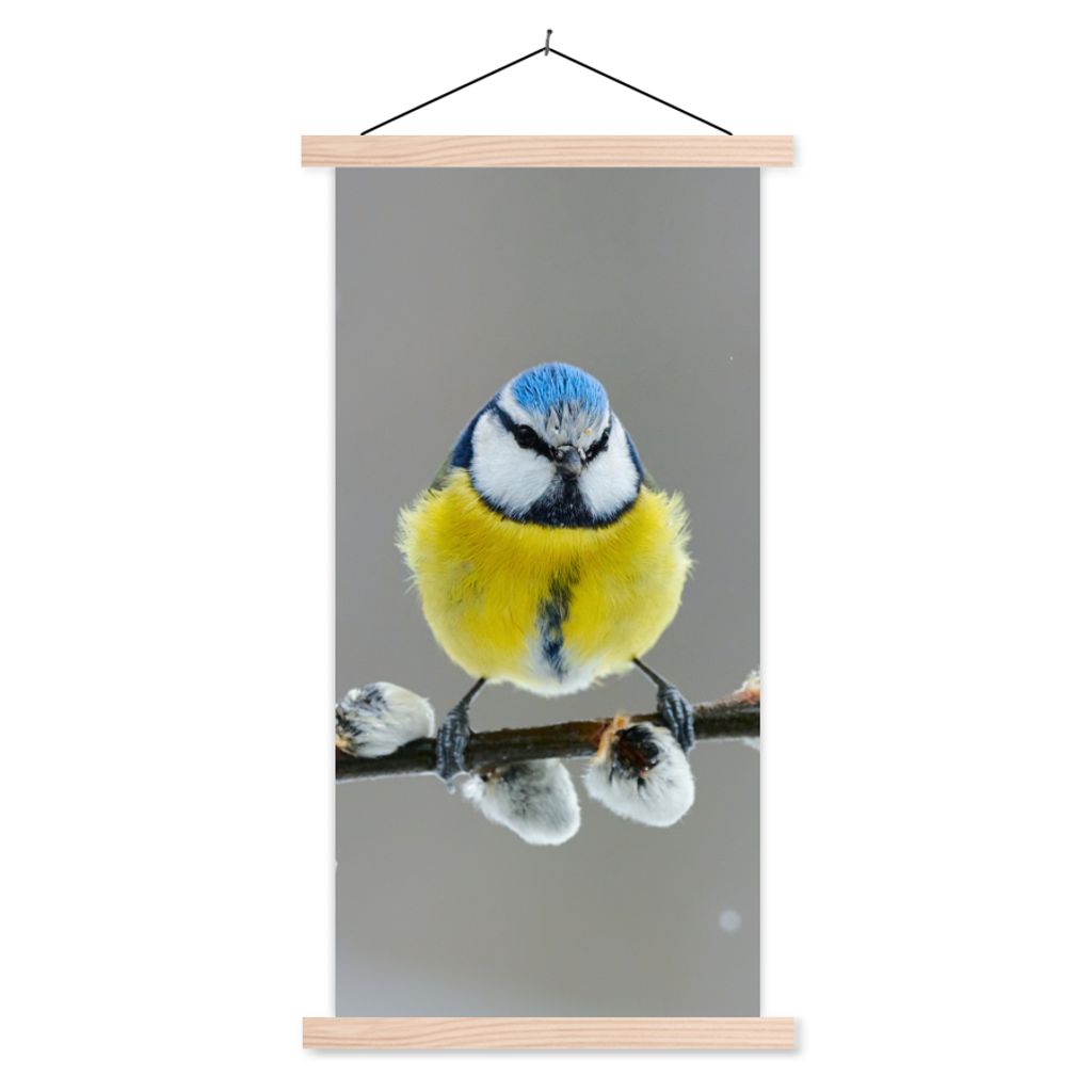 MuchoWow Textilposter Blaumeise - Vogel - Zweig - Gelb - Blau 60x120 cm mit holzfarbenen Rahmen - Holz