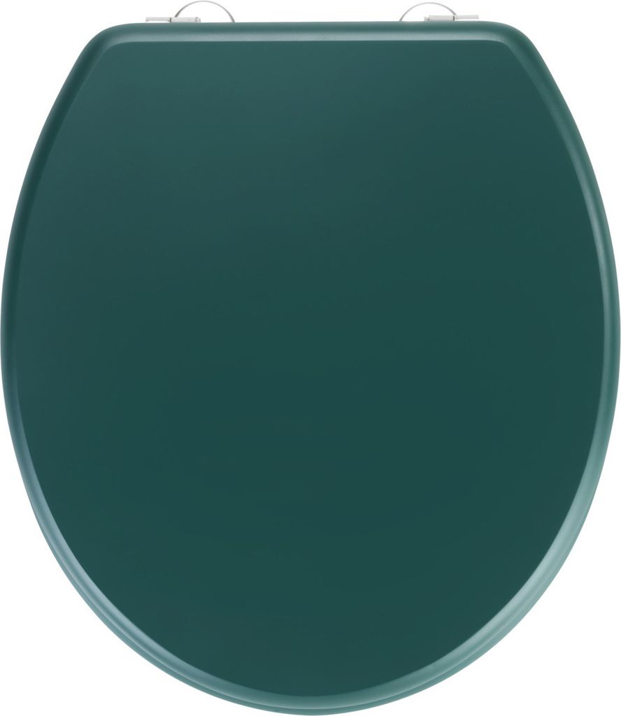 A top-down view of a dark green toilet seat.