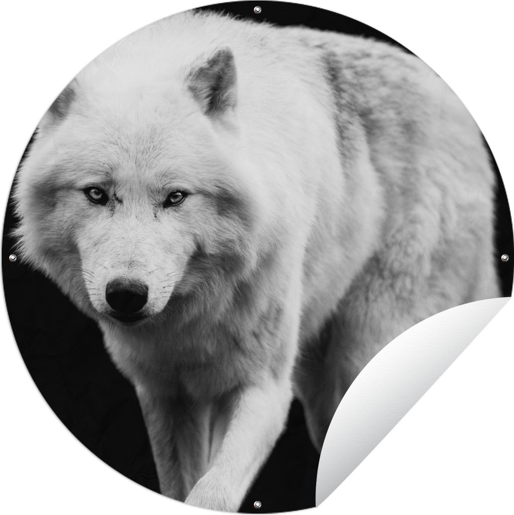 MuchoWow Gartenposter Outdoor-Poster Rund Wolf - Tier - Schwarz - Weiß Ø 90 cm Gartendeko Rundes Poster draußen