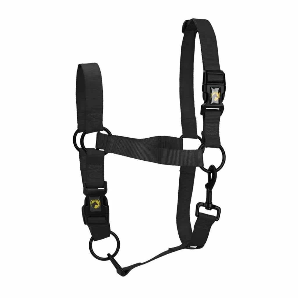 Excellent Horse Essential Halfter S Foal | La Scelta dei Professionisti