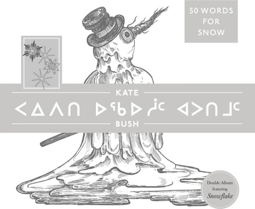 Album Vinyle Kate Bush 50 Words For Snow Polar Edition Idéal Cadeau