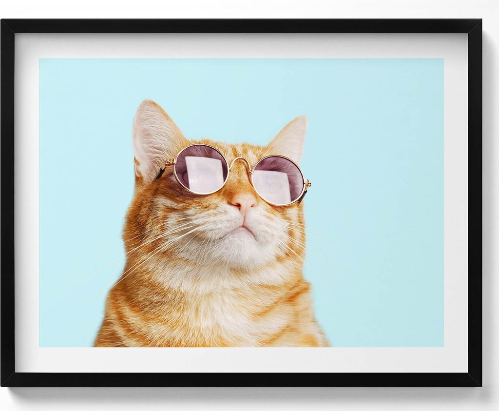 Lustige Katze mit Brille– Wandbild mit Rahmen – Gerahmtes Bild – Wanddekoration – 80x60 cm – Schwarz Rahmen