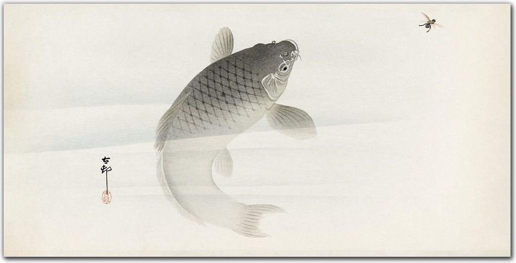 Coloray Bild aus Acryl 140 cm x 70 cm - Wanddekoration Küche Bild auf Acrylglas Dekoration Wohnzimmer Gehärtetes Acryl - Tiere Koi-Fische