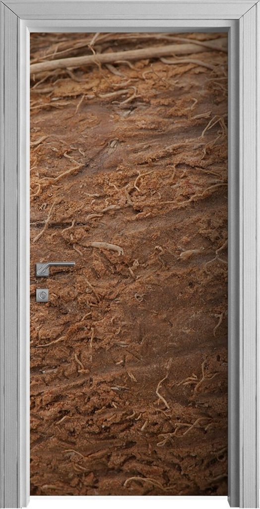 Tür Selbstklebende 90x210 cm Türfolie Türtapete Klebefolie - Nahaufnahme auf Kokosnuss