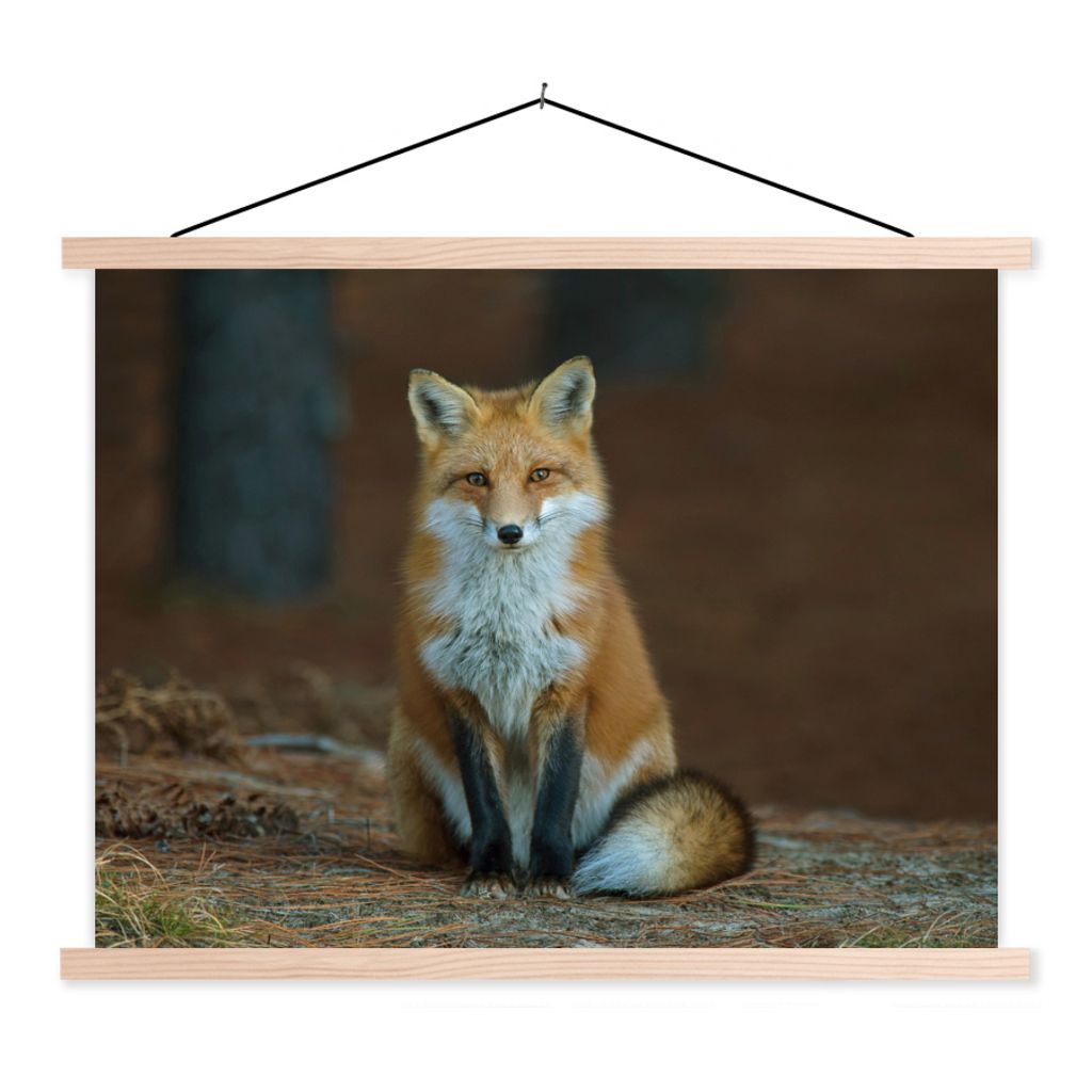 MuchoWow Textilposter Fuchs - Makro - Rot 60x45 cm mit holzfarbenen Rahmen - Bild