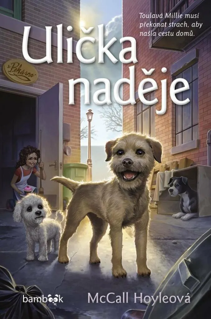 Livre Jeunesse Ulička naděje par McCall Hoyle - Roman Dramatique Broché