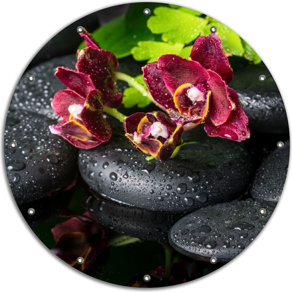 Wallario rundes Outdoor-Poster für Garten oder Balkon, Motiv Dunkelrote Orchideen-Blüte auf schwarzen Steinen mit Regentropfen, 90 cm Durchmesser