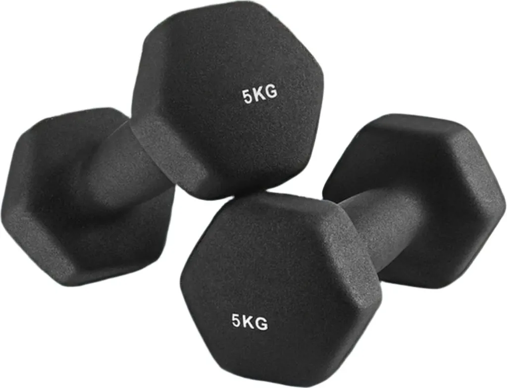 Haltères Rootz 5 kg anti-roulis et stables pour un rangement facile