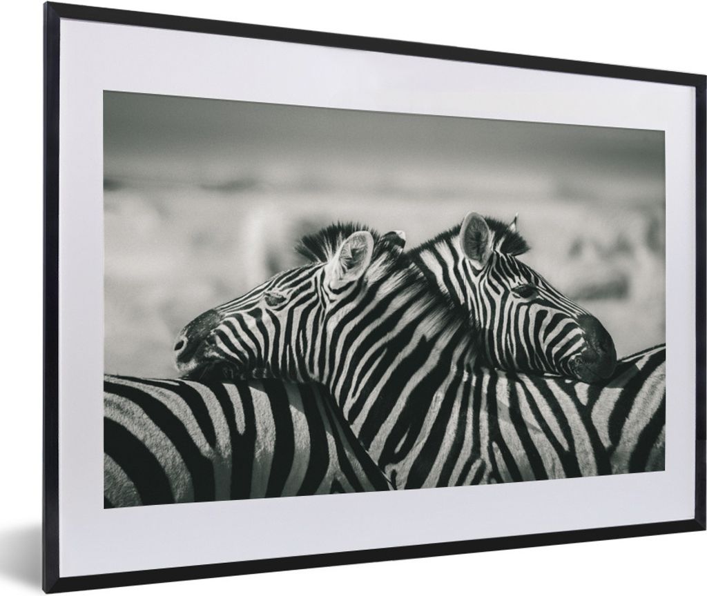 MuchoWow Gerahmtes Poster Kuschelige Zebras 60x40 cm - Poster mit Schwarzem Bilderrahmen Wandposter Rahmen Foto Bilder - Schlafzimmer - Plakat in...