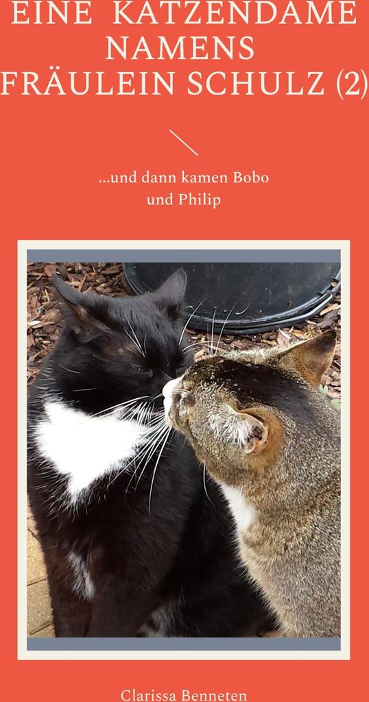 Eine Katzendame namens Fräulein Schulz (2)
