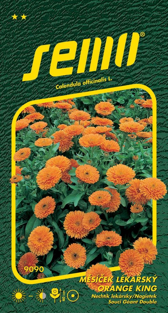 Samen - Ringelblume ́ORANGE KING ́