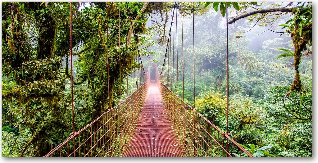 Tulup Glas-Bild -140x70- Wandkunst Dekorative Wand für Küche & Wohnzimmer - Landschaften - Brücke - Grün