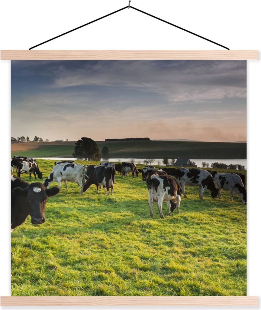MuchoWow Textilposter Kuh - Gras - Sonnenuntergang 120x120 cm mit holzfarbenen Rahmen - Textil-Poster