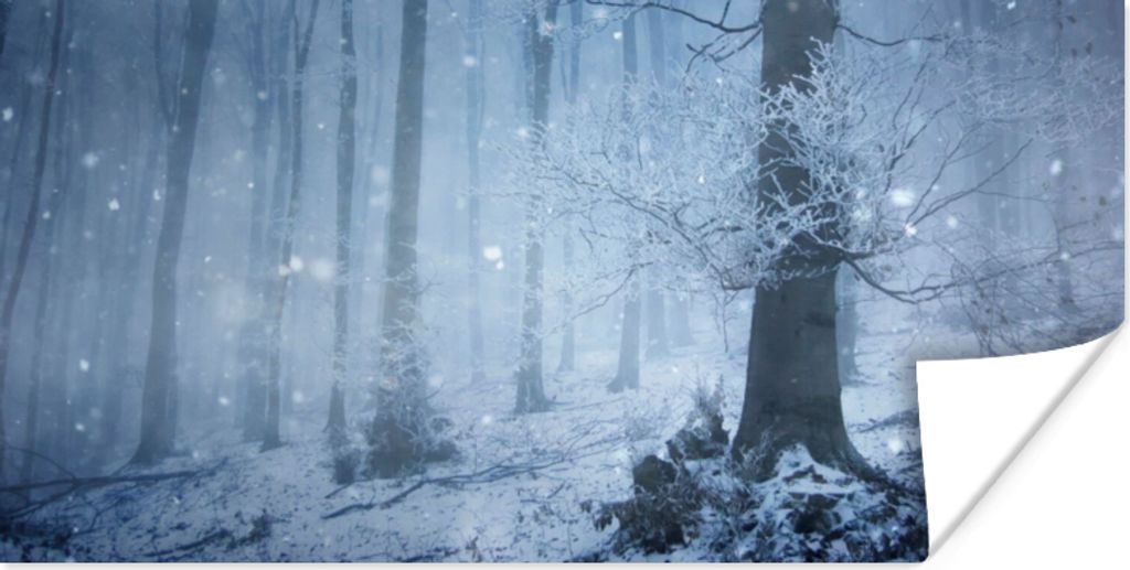 MuchoWow Poster Wald - Winter - Schnee 120x60 cm - Bild