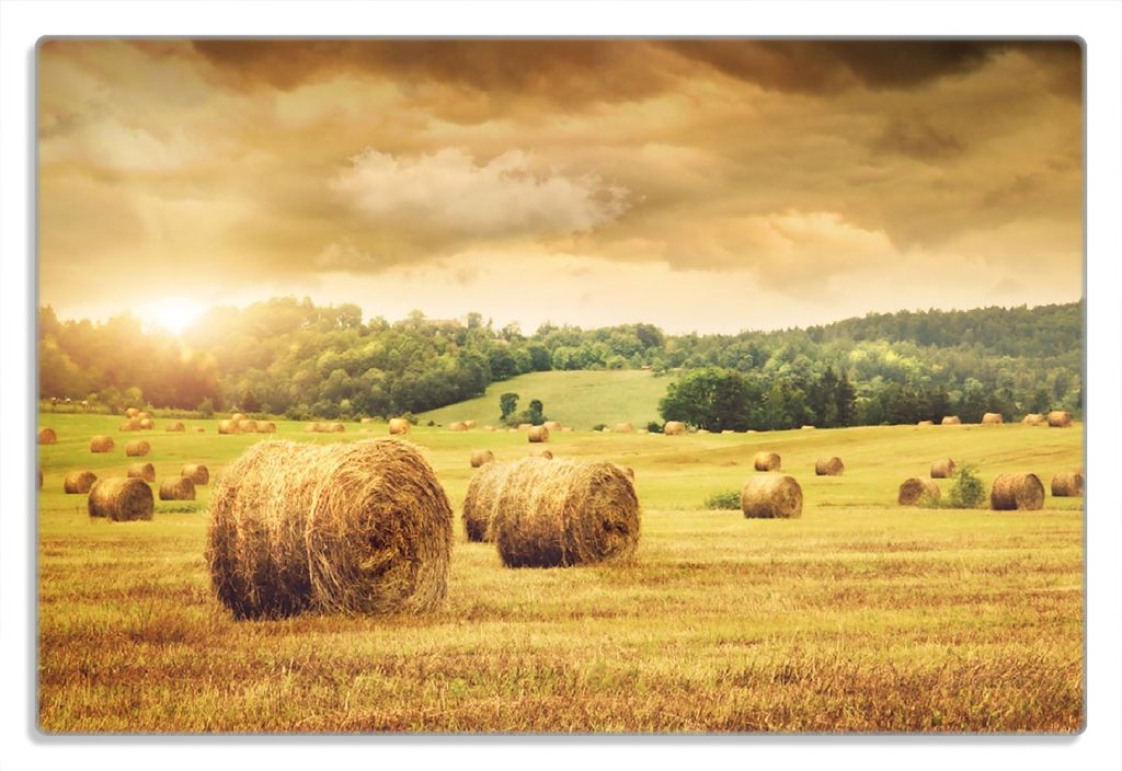 Wallario Frühstücksbrettchen aus Glas 20 x 30 cm mit rutschfesten Füßen, Motiv Strohballen auf dem Feld bei Sonnenuntergang