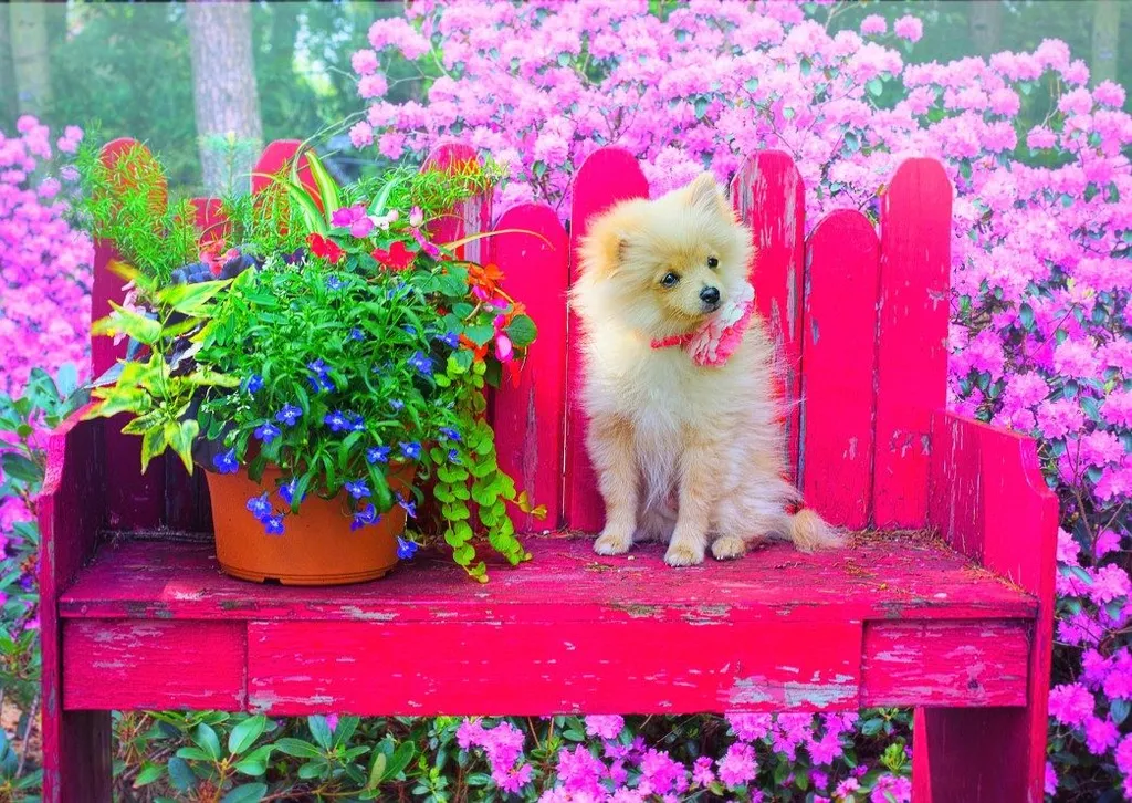 Puzzle classique 500 pièces pour adultes et enfants : Chiot au jardin