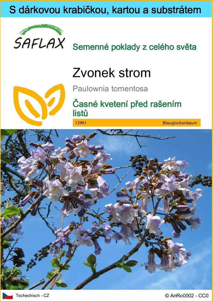 SAFLAX Dárková sada - zvonek strom - Paulownia tomentosa - Obrázek produktu 