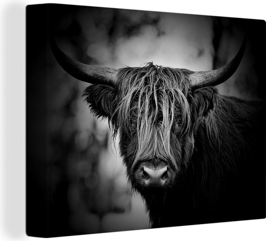 MuchoWow - Leinwandbilder - Schottischer Hochländer - Licht - Porträt - Natur, Wandbild, Wanddeko Bilder Wohnzimmer, 120x90 cm