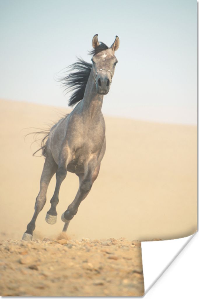 MuchoWow Poster Pferd - Sand - Wüste 40x60 cm - Plakate für die Wand - Poster Babyzimmer