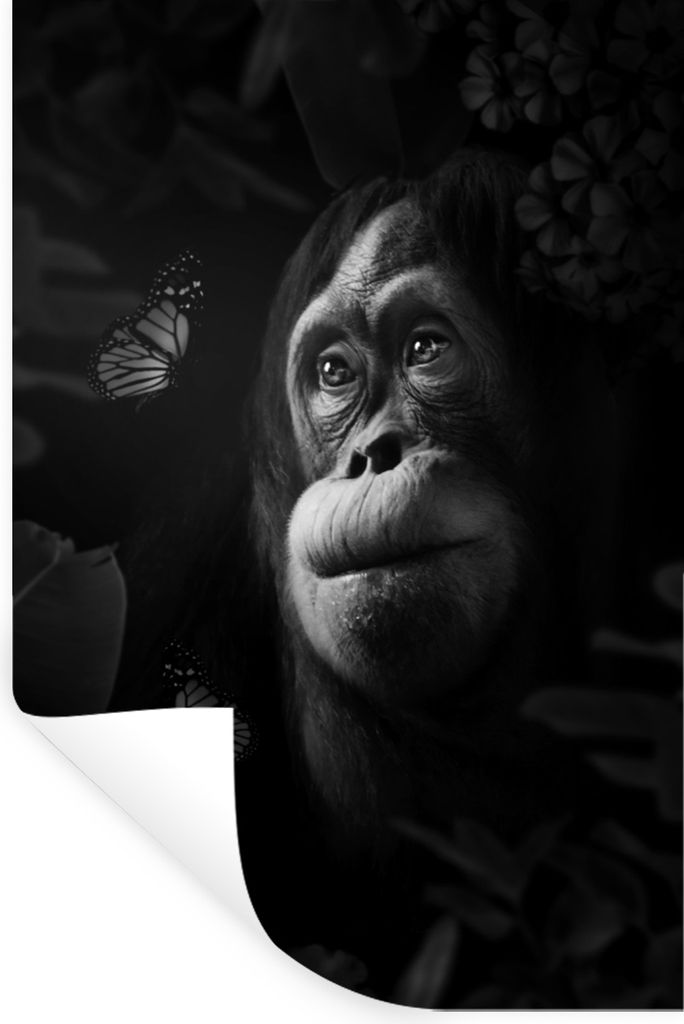 MuchoWow Wandtattoo Wandsticker Wandaufkleber Affe schaut sich Schmetterlinge im Dschungel an - schwarz und weiß 20x30 cm Selbstklebend und Repo...