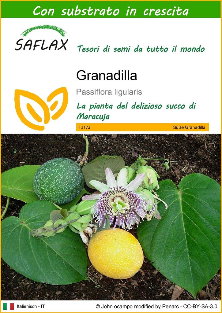 SAFLAX  - Granadilla - 20 semi - Con substrato - Passiflora Immagine del prodotto 