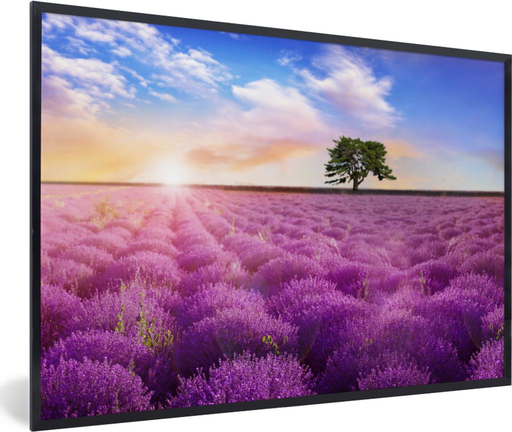 MuchoWow Gerahmtes Poster Lavendel - Baum - Sonnenuntergang - Lila 30x20 cm - Poster mit Schwarzem Bilderrahmen Wandposter Rahmen Foto Bilder - K...