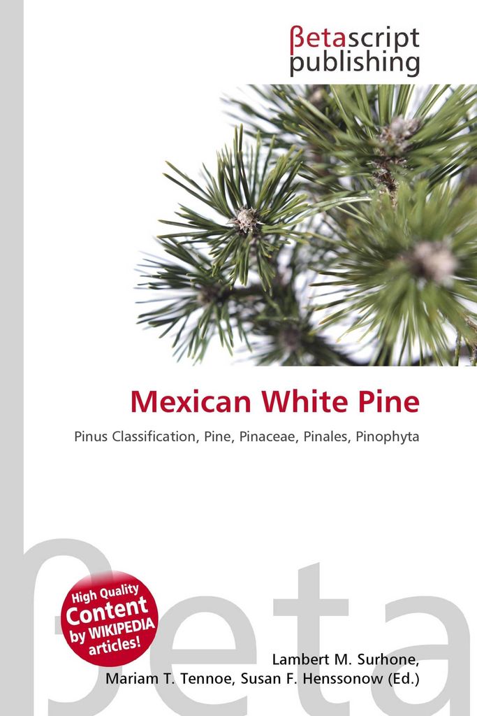 Mexican White Pine