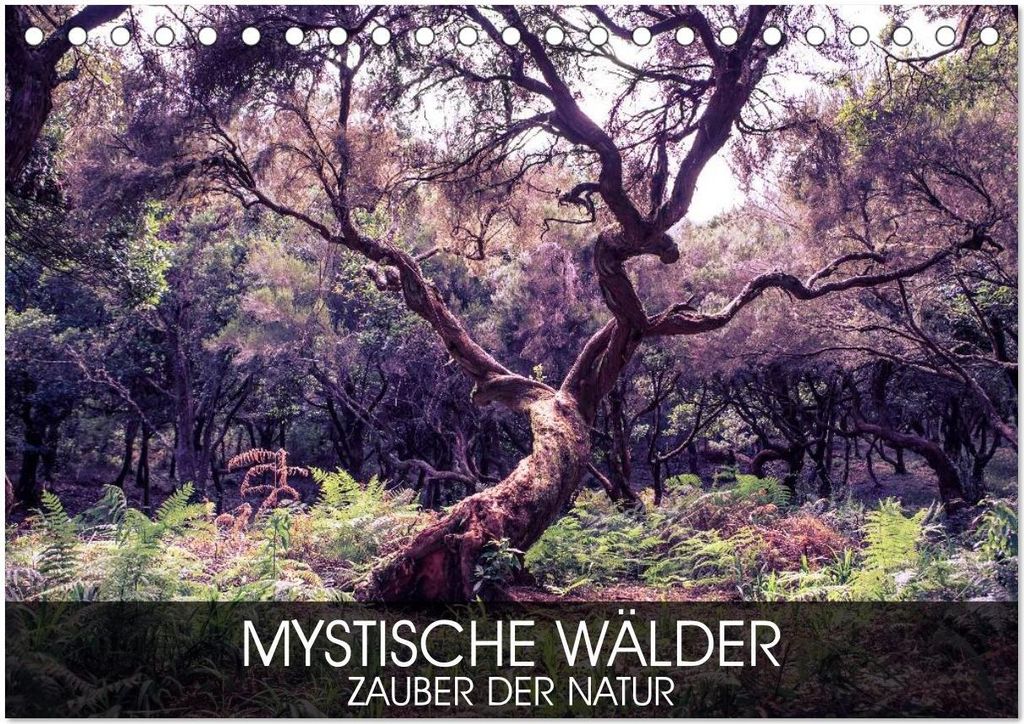 Mystische Wälder - Zauber der Natur (Tischkalender 2026 DIN A5 quer), CALVENDO Monatskalender