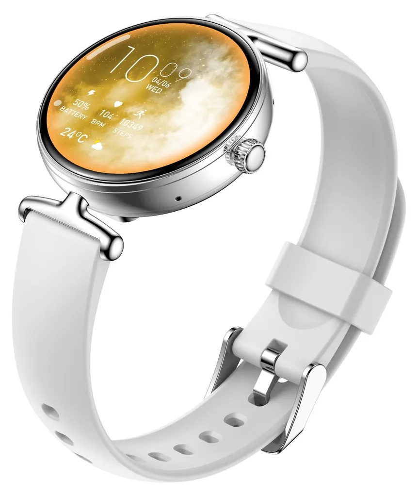 Ne Manquez Plus Rien : Montre Connectée AMOLED Santé Argentée Stable