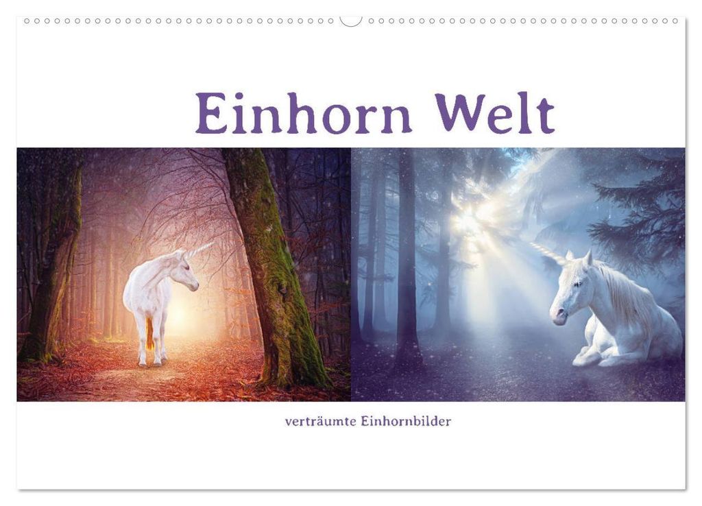 Einhorn Welt - verträumte Einhornbilder (Wandkalender 2027 DIN A2 quer), CALVENDO Monatskalender