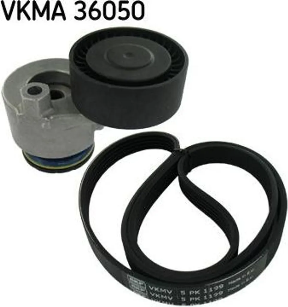 Courroie Crantée SKF VKMA 36050 Haute Résistance - Compatible Kangoo et OE