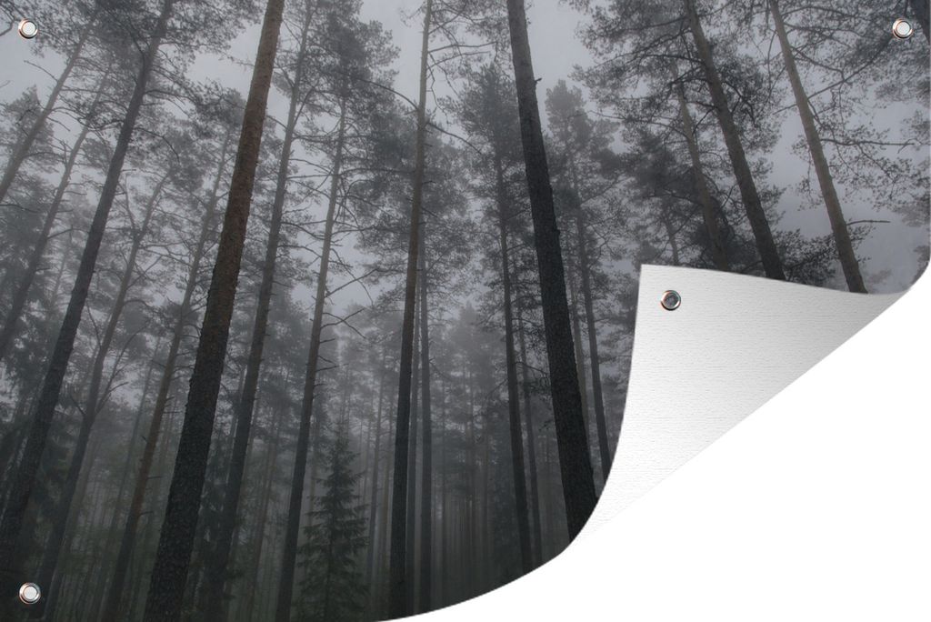 MuchoWow 90x60 cm Outdoor-Poster Gartendeko Sichtschutz Garten Poster für den Garten Nebel zwischen den hoch aufragenden Bäumen des Lahemaa-Na...