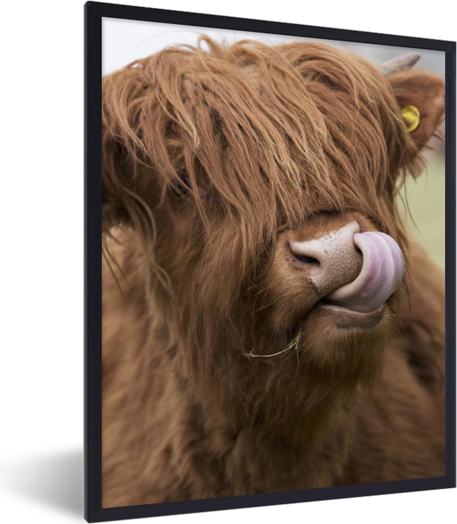 MuchoWow Gerahmtes Poster Schottischer Highlander - Braun - Kuh 30x40 cm - Poster mit Schwarzem Bilderrahmen Wandposter Rahmen Foto Bilder - Wand...