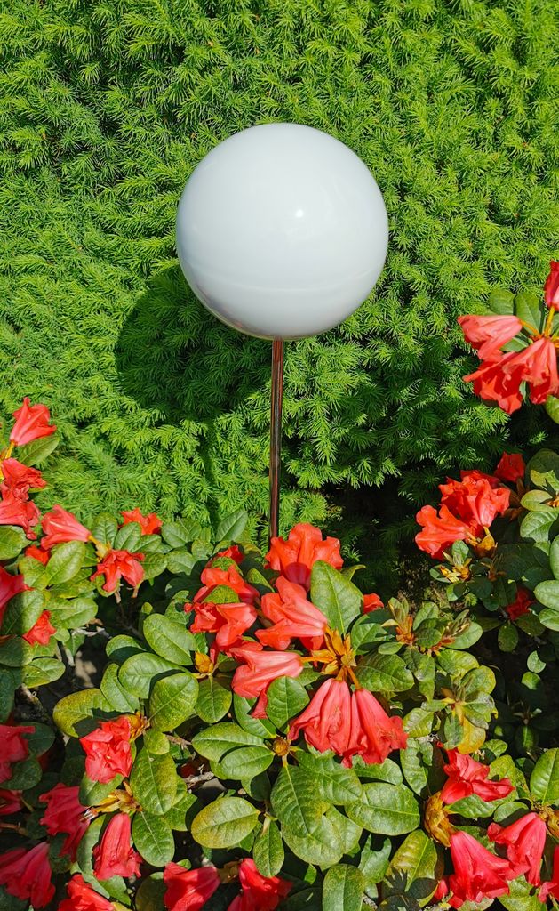 Rosenkugel 15 cm Edelstahl weiß poliert mit Stab 80 cm Beetstecker Gartenstecker