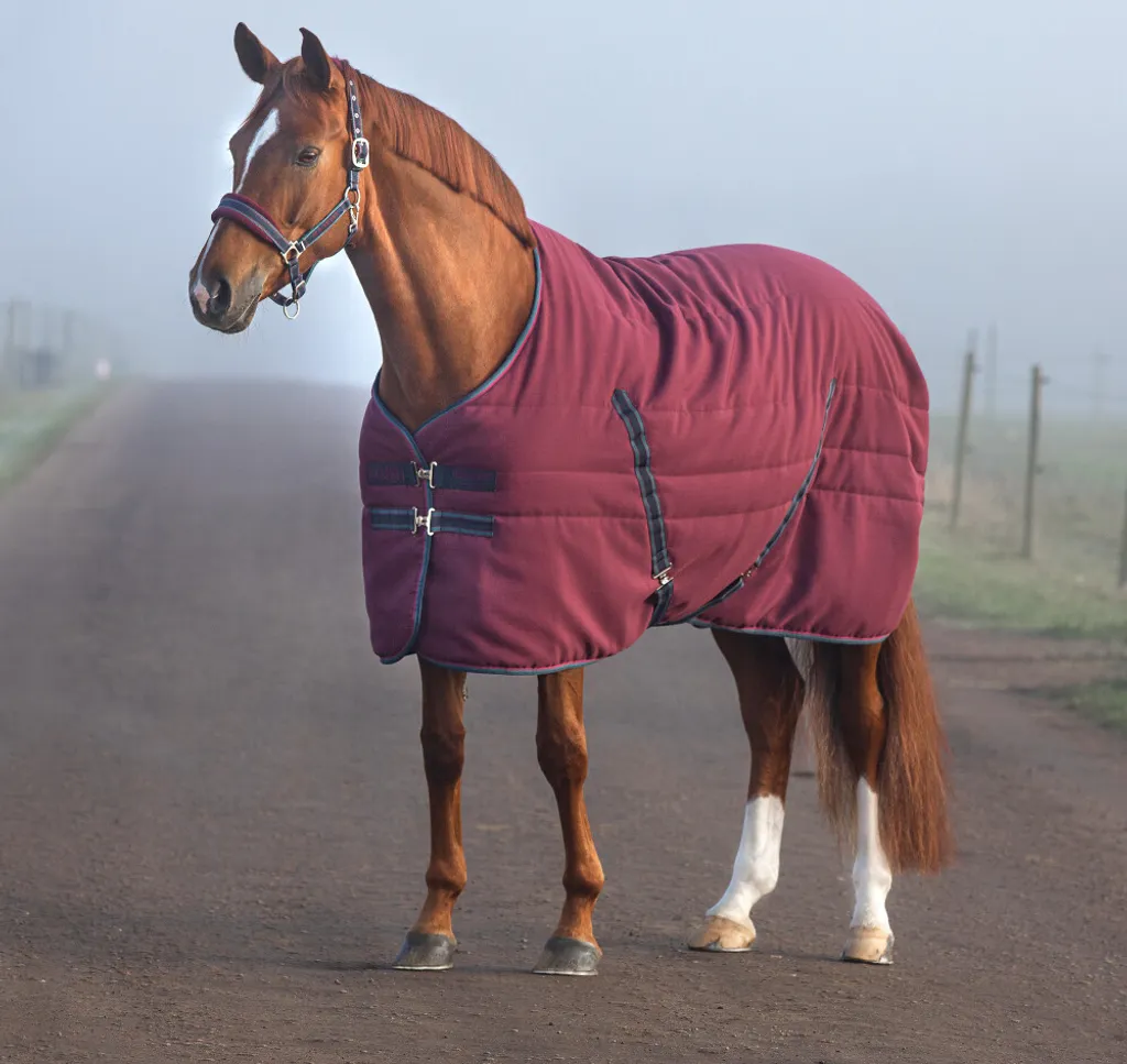 Rambo Stable Rug 100g Horseware: la Coperta da Viaggio e Box