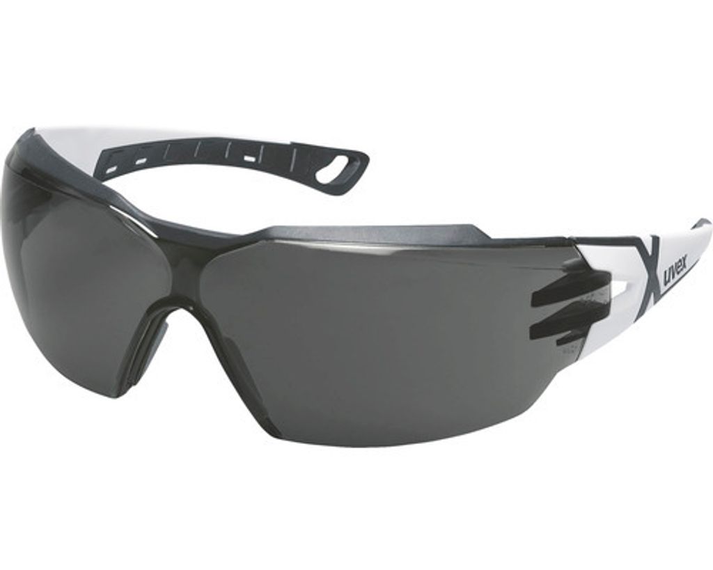 uvex Bügelbrille pheos cx2 grau 14% sv exc. 9198230