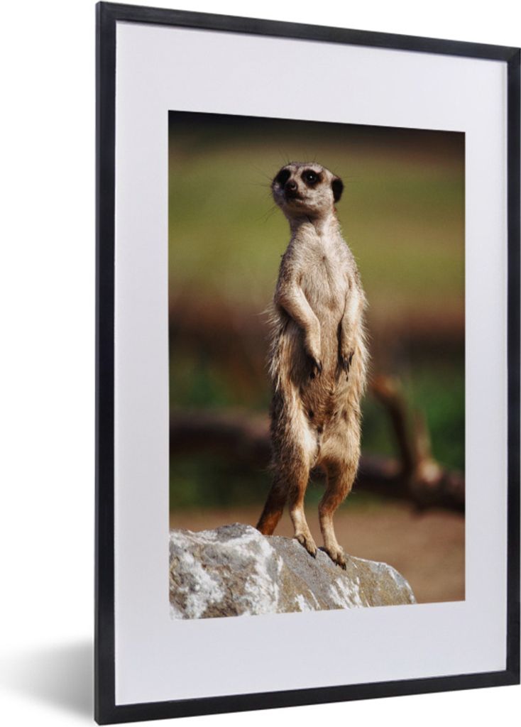 MuchoWow MuchoWow Gerahmtes Poster Erdmännchen - Tier - Spiel 40x60 cm - Poster mit zchwarzem Bilderrahmen - Poster in Rahmen