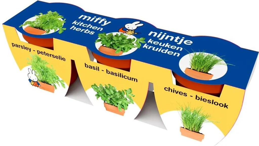 Activité jardinage pour enfant avec le pot XL Nijntje terre cuite