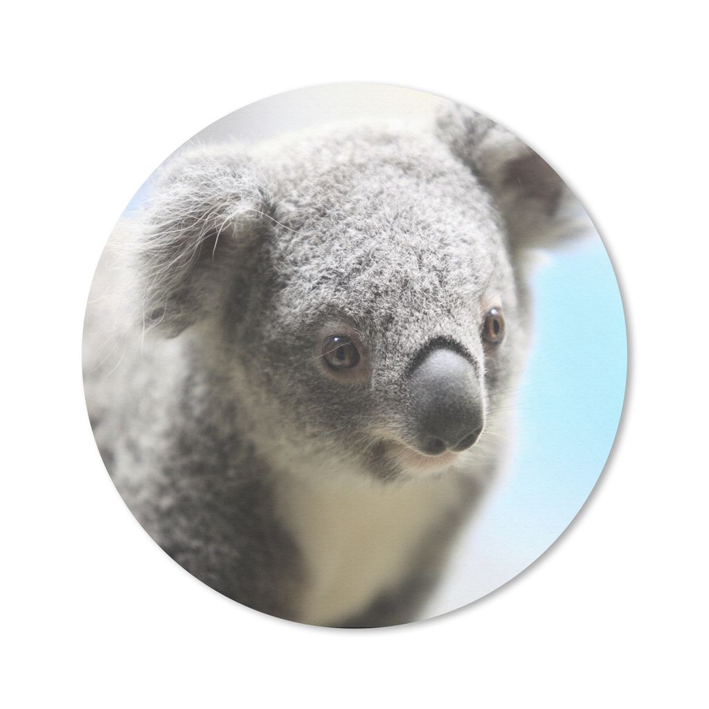 MuchoWow Mauspad Mousepad Koala - Porträt - Tier - Kinder - Jungen - Mädchen 50x50 cm - Mousepads - Maus Mat - Pad - Mausunterlage - Vinyl