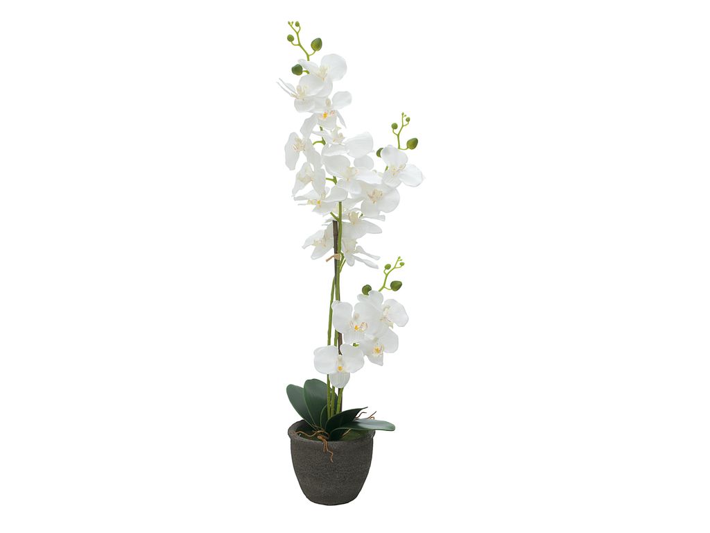 EUROPALMS Orchidee, Kunstpflanze, weiß, 80cm (82530362)
