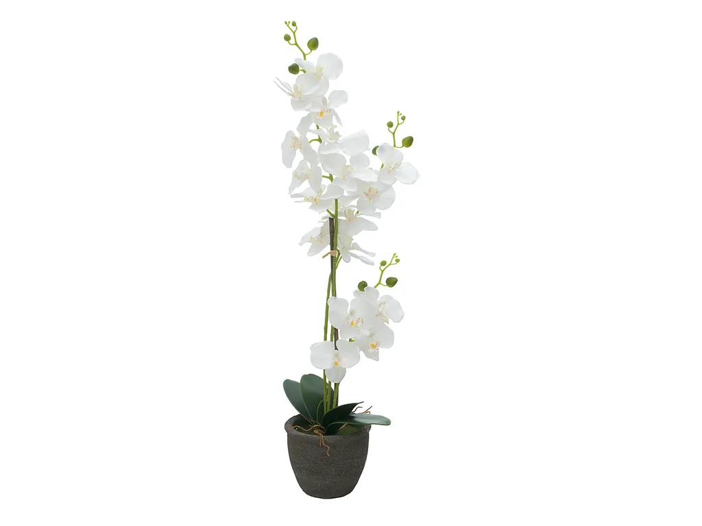 EUROPALMS Orchidée Blanche Artificielle 80cm - Fleur de Soie 82530362