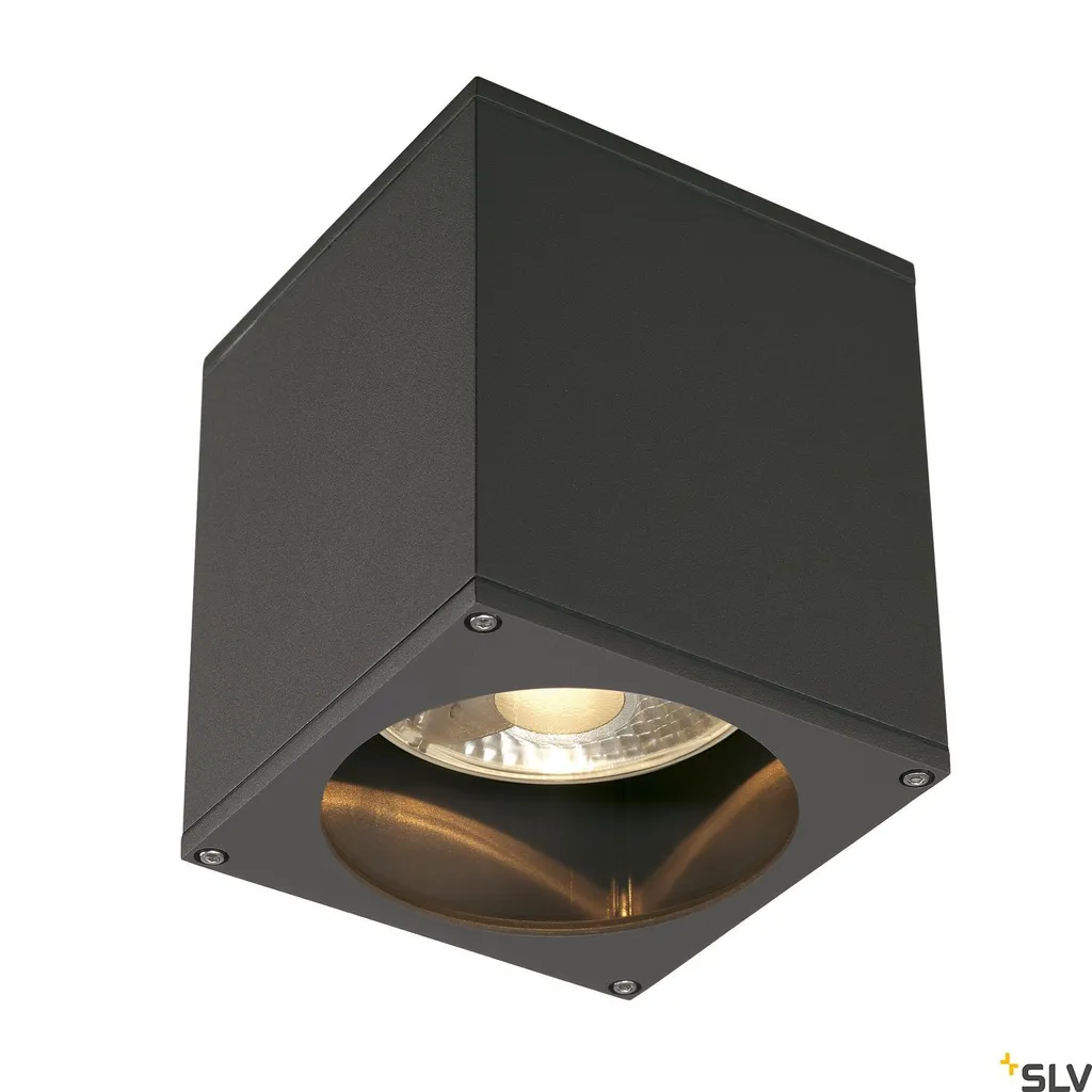Plafonnier de terrasse Big Theo Anthracite IP44 : Éclairage ES111