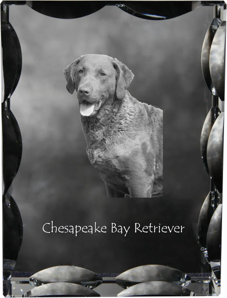 Art-Dog Cristallo con Foto Cane Chesapeake Bay Retriever - Arredo Unico