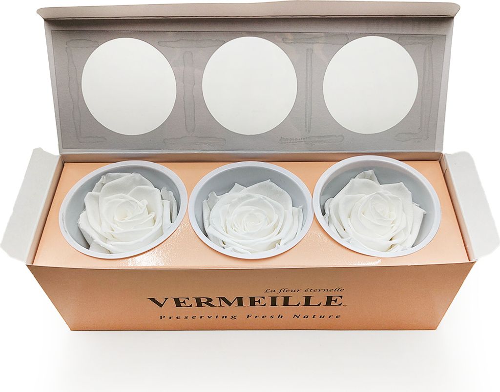 Stabilisierte Rose - Prinzessinnenweiß - XL - 3 Stk Produktbild 
