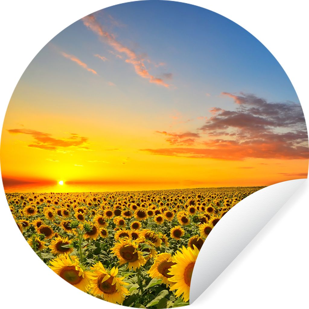 MuchoWow Runde Wandtattoo - Wandsticker Tapete Aufkleber Blumen - Sonnenblume - Sonnenuntergang - Nacht - Orange Ø 100 cm Selbstklebend und Repo...