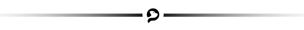Filtres de Rechange pour Fontaine Petlibro Dockstream - Pack de 8 Unités