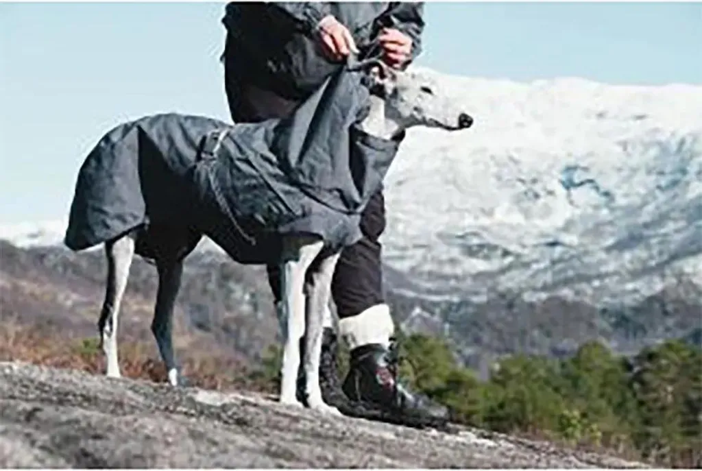Hurtta Expedition Parka 60 Grigio: Il Top di Gamma Invernale Cane - 5