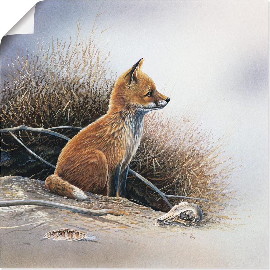 ARTland Poster Kleiner Fuchs Größe: 70x70 cm