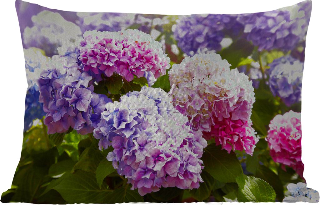 MuchoWow Outdoor Kissen - Blumen - Hortensie - Rosa - Blätter - Sonne - 60x40 cm - Wetterfest - Lounge Kissen - Zierkissen - Kissen für Innenr...